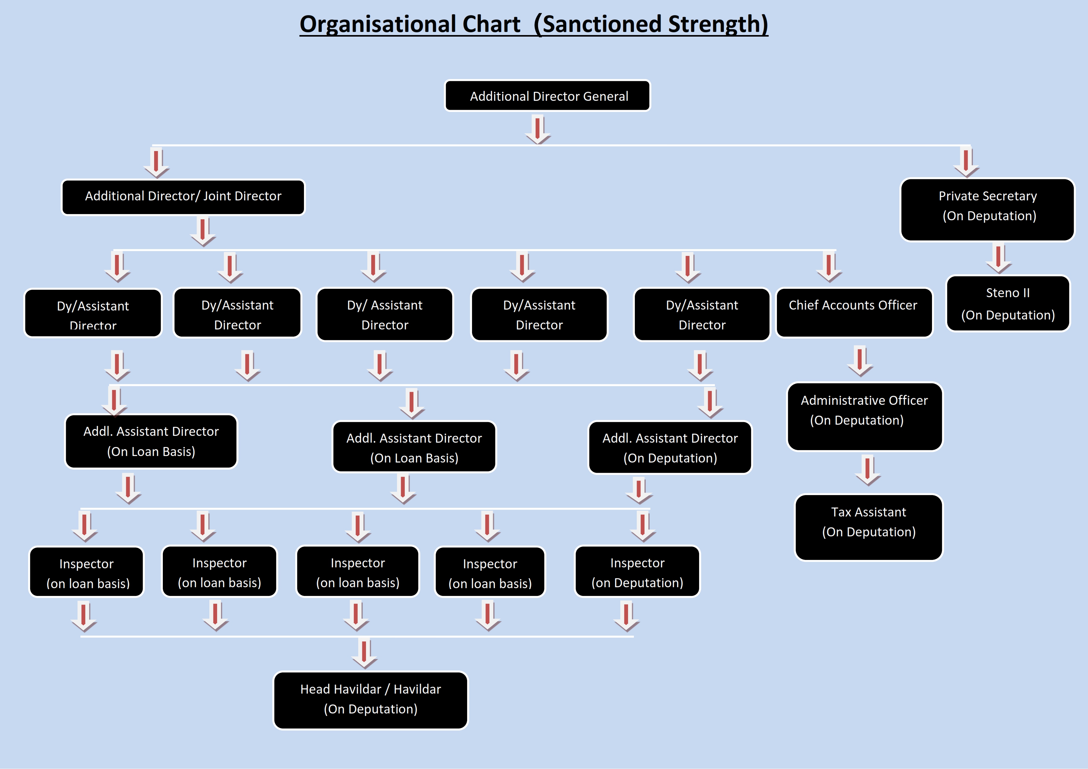 Organization Chart